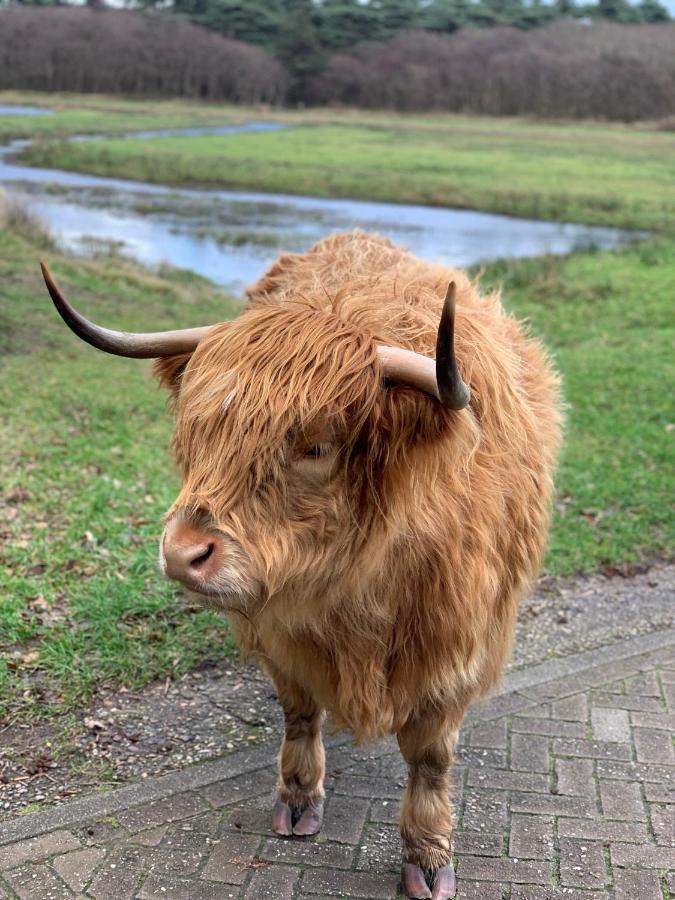 Casa Tx21 Lägenhet Den Burg Exteriör bild